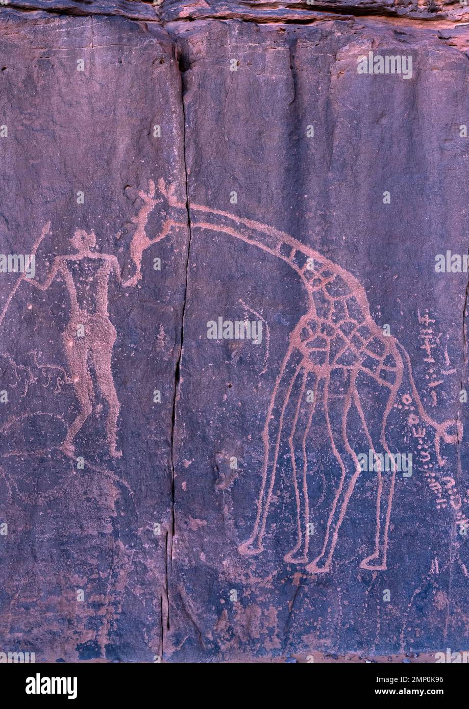 Felsschnitzereien mit Giraffen, Tassili N'Ajjer National Park, Tadrart Rouge, Algerien Stockfoto