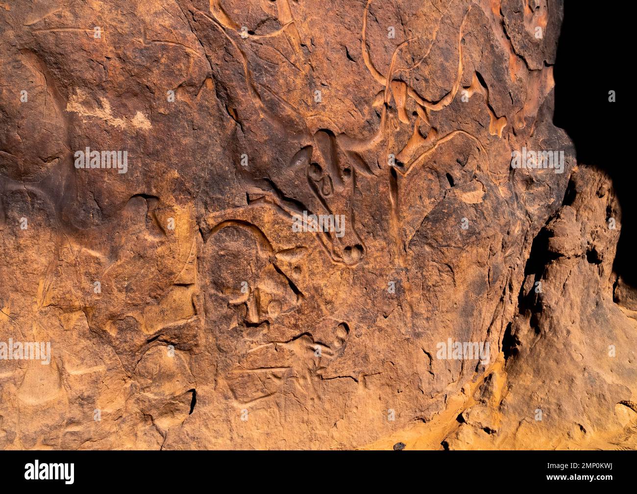 La vache qui pleure Rock Carving, Nordafrika, Erg Admer, Algerien Stockfoto