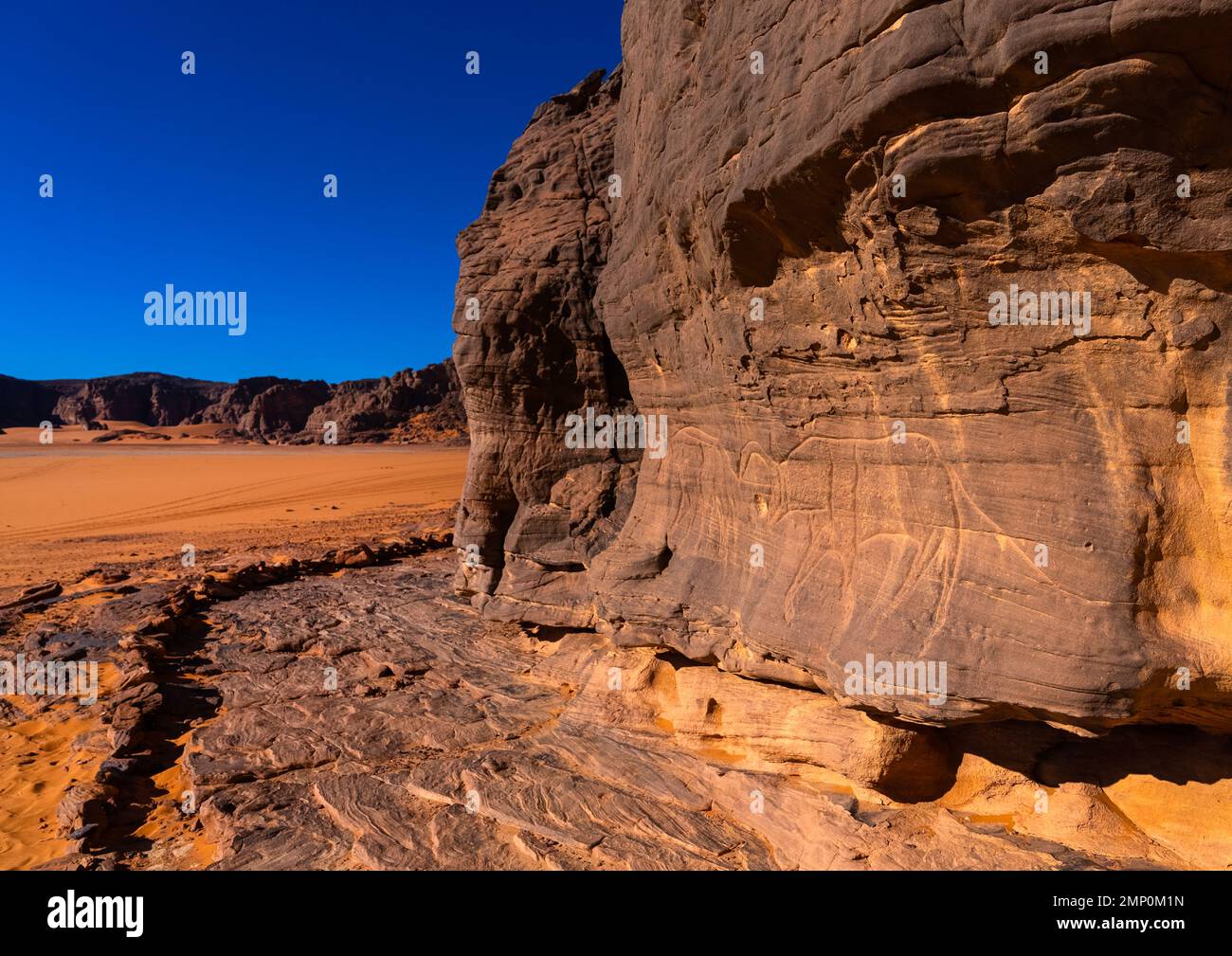 Felsschnitzereien mit Kühen, Tassili N'Ajjer Nationalpark, Tadrart Rouge, Algerien Stockfoto
