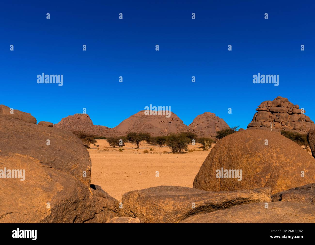 Kulturpark von Ahaggar, Nordafrika, Tamanrasset, Algerien Stockfoto