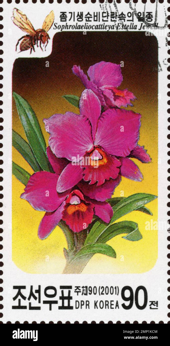 2001 nordkoreanische Briefmarke mit Sophrolaeliocattleya Estella Jewell Orchideenblüten und einer Biene im Wert von 90 chon. Stockfoto