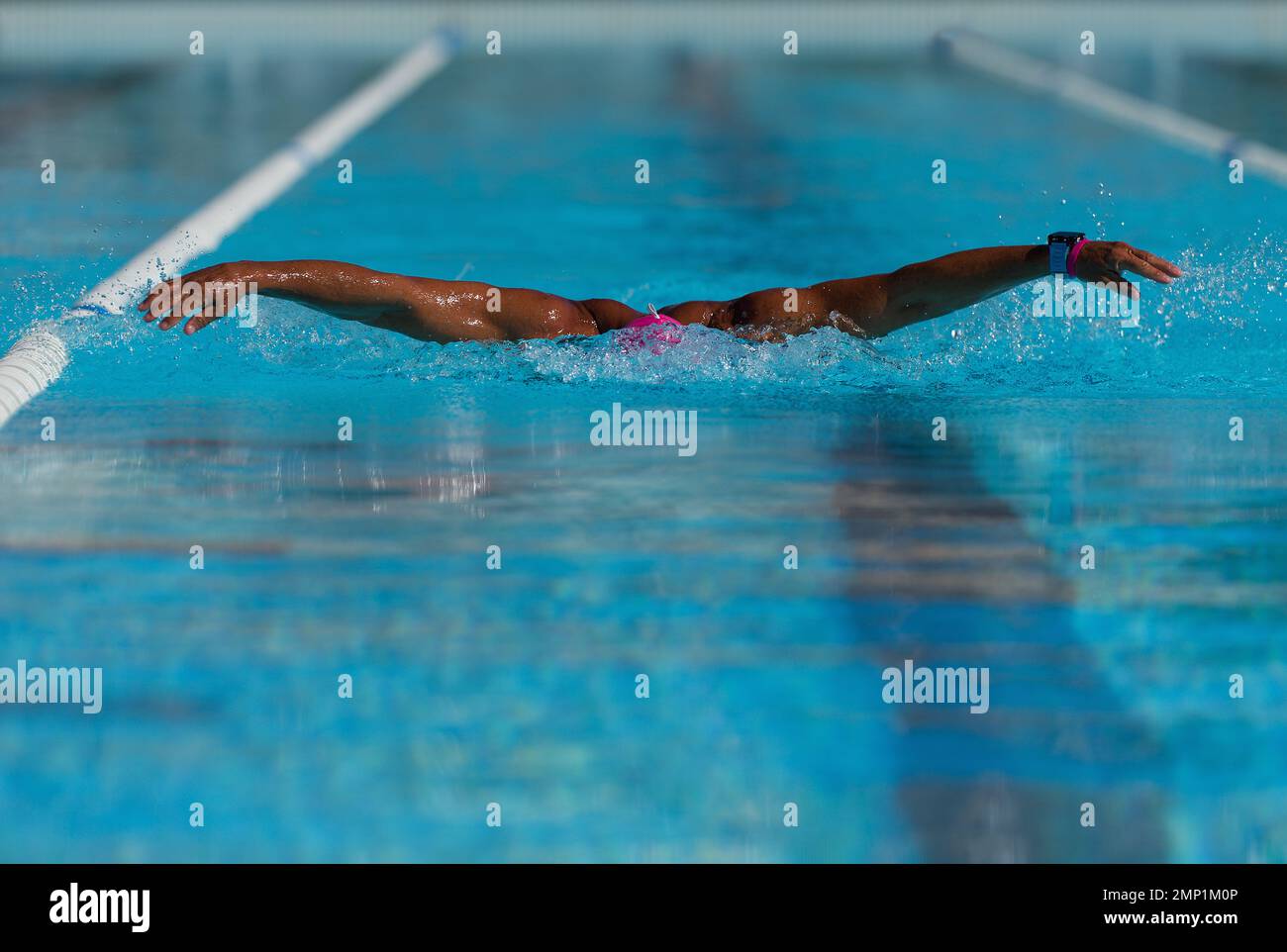 Schwimm-Wettkampfschwimmer-Athlet, der im Swimmingpool Schmetterlingsschlag macht Stockfoto