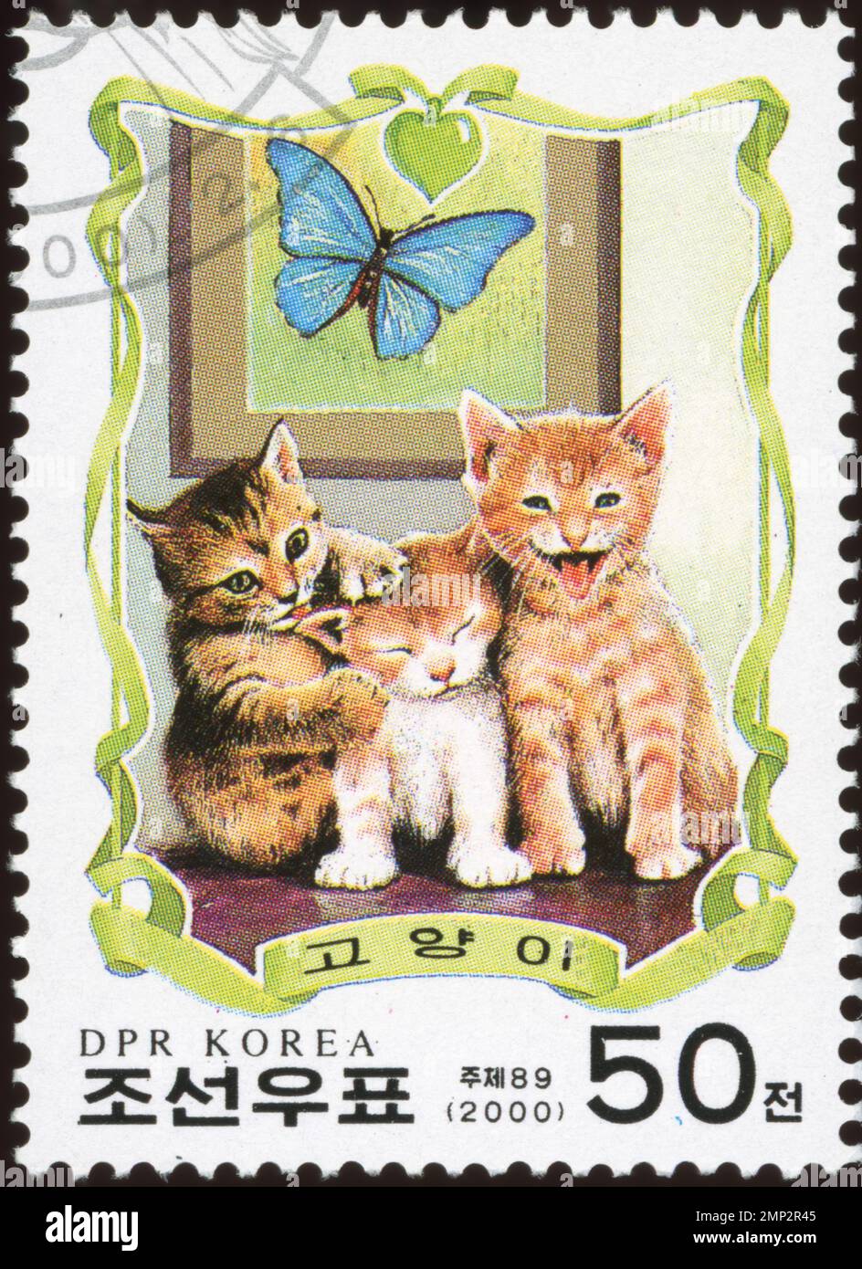 Nordkoreanische Briefmarke von 2000 mit drei Kätzchen und einem blauen Schmetterling, DPR Korea Philatelie. Stockfoto