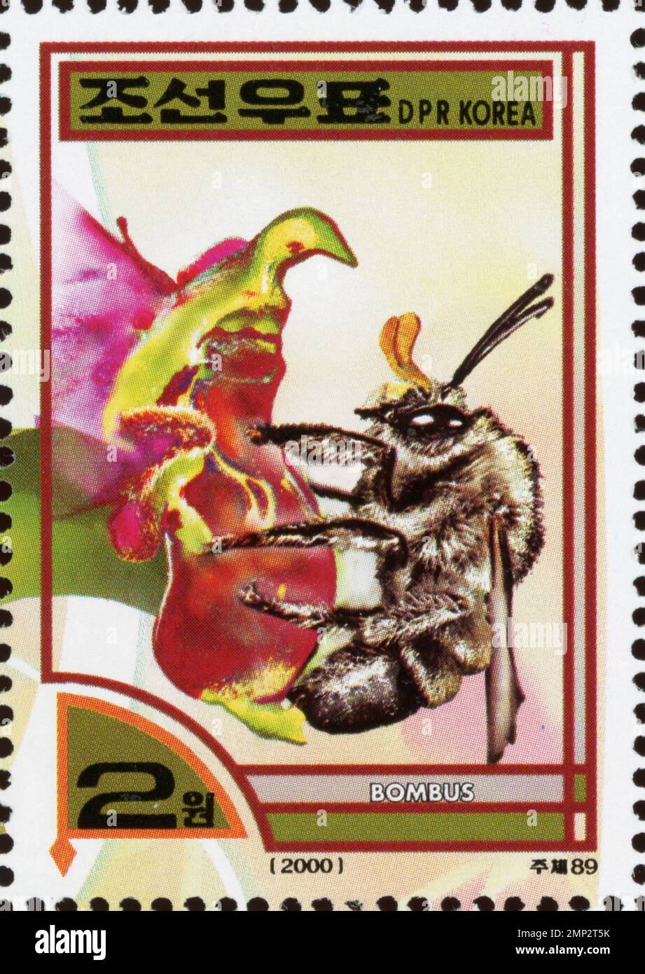 Nordkoreanische Briefmarke von 2000 mit einer Bombus-Hummel auf einer Blume, Wertung 2 Won. Stockfoto