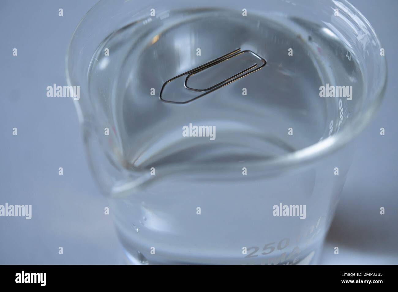 Oberflächenspannung von Wasser. Büroklammer schwimmt auf Wasser im Labor Stockfoto