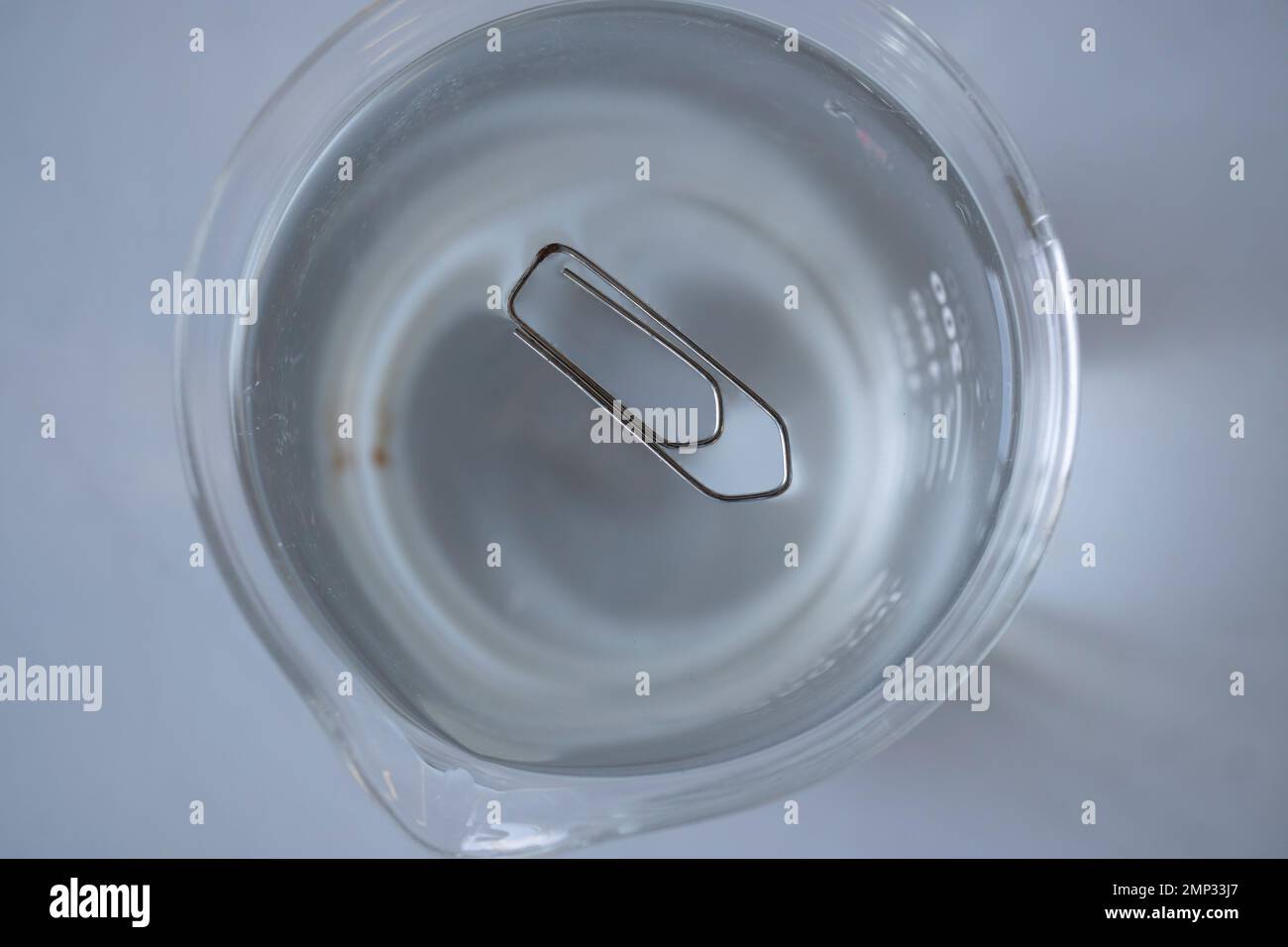 Oberflächenspannung von Wasser. Büroklammer schwimmt auf Wasser im Labor Stockfoto