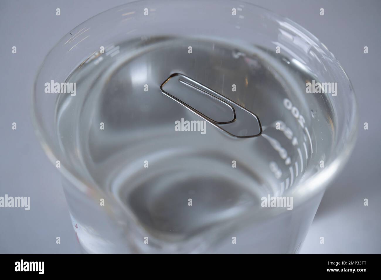 Oberflächenspannung von Wasser. Büroklammer schwimmt auf Wasser im Labor Stockfoto