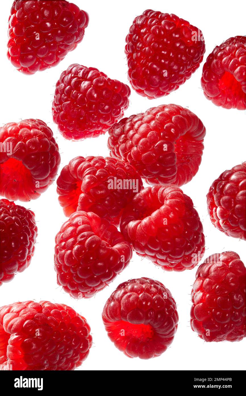 himbeeren Früchte rot frisch geschnitten Sommerfrüchte lebhaft essen gesunde weiße Hintergrundfarbe scharf hohe Auflösung schwimmende Vitamin C Gruppe Stockfoto