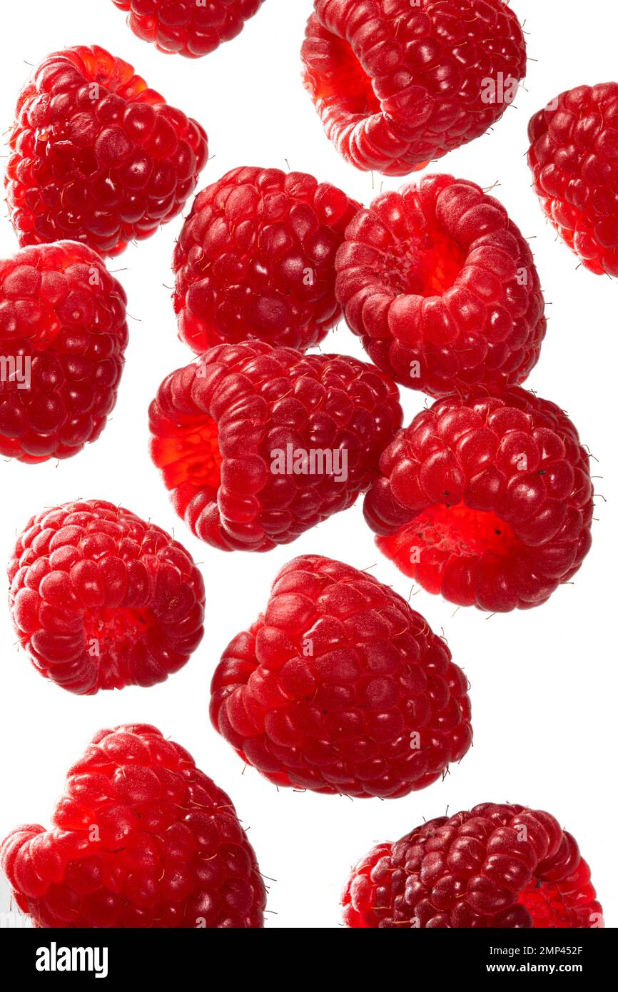 himbeeren Früchte rot frisch geschnitten Sommerfrüchte lebhaft essen gesunde weiße Hintergrundfarbe scharf hohe Auflösung schwimmende Vitamin C Gruppe Stockfoto