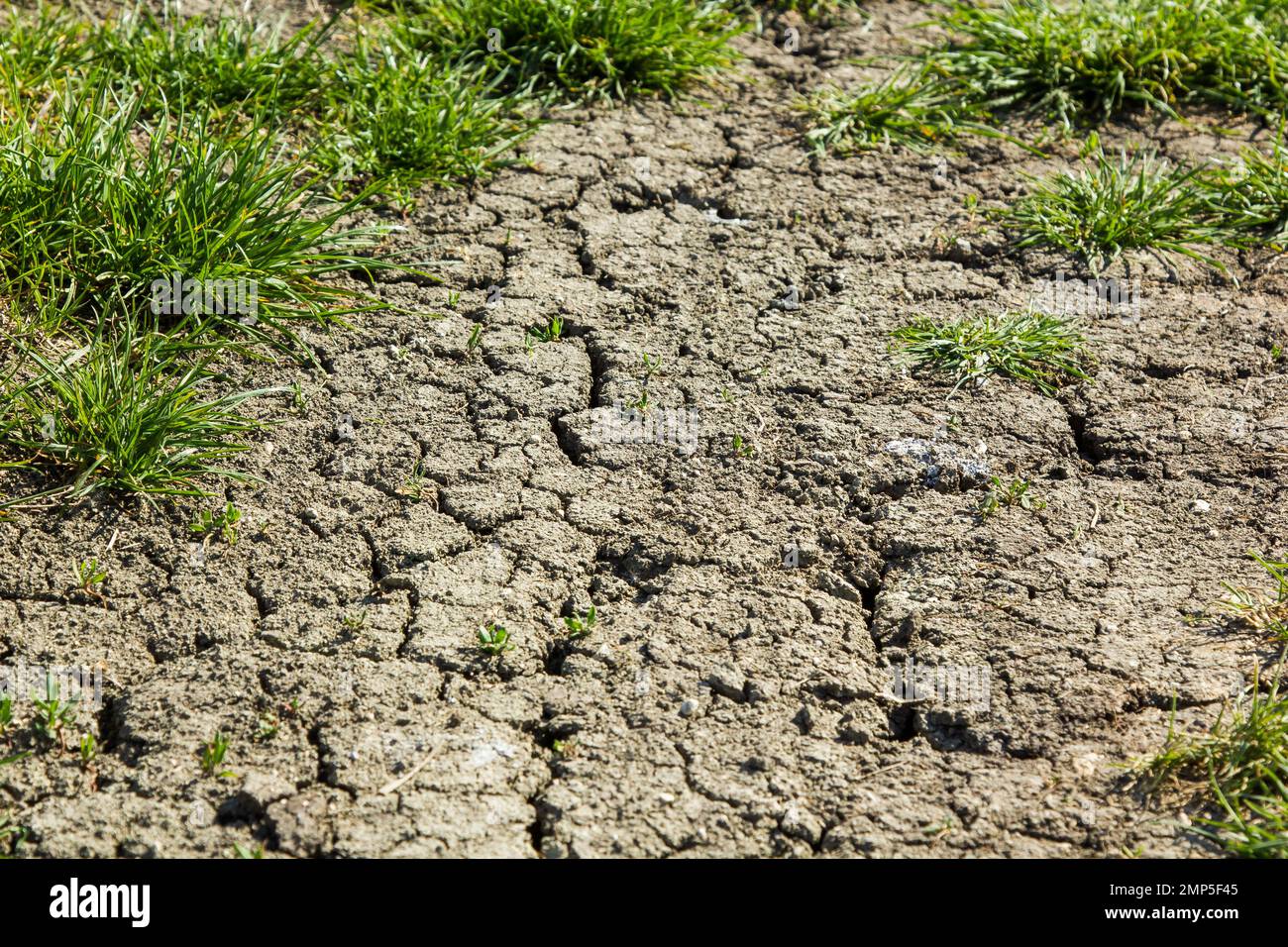 Risse auf dem Boden während einer Dürre im Sommer Stockfoto