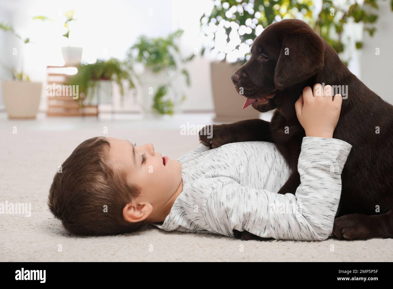 Kleiner Junge mit Hund, der zu Hause auf dem Boden liegt Stockfoto