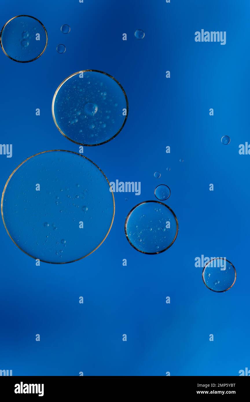 Abstrakte bunte Blasen. Weicher Hintergrund mit blauen Farbtönen und Kreisen. Stockfoto