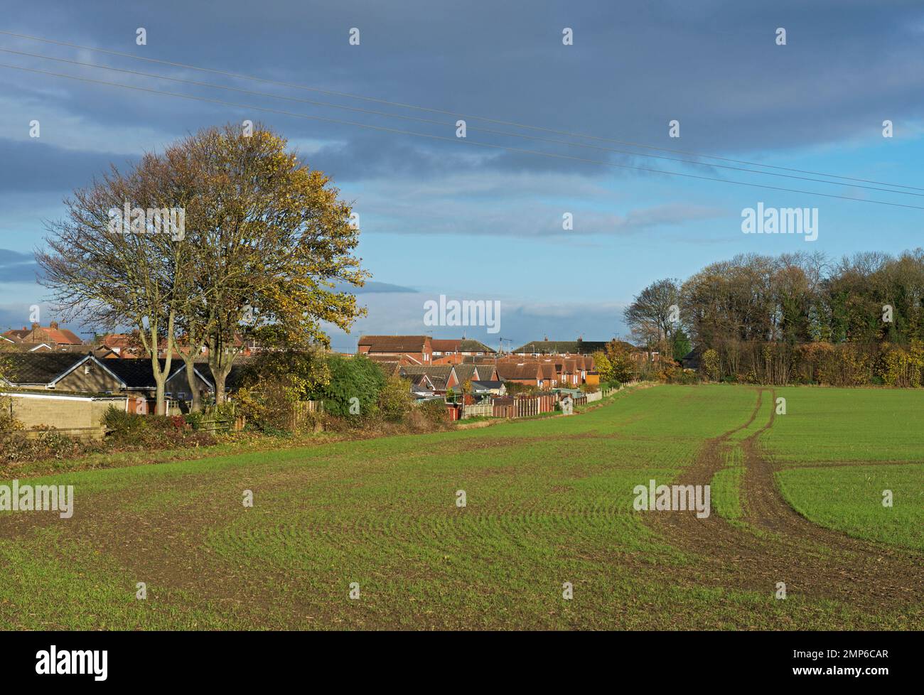 Houses and Fields, Sutton, North Yorkshire, England, Großbritannien Stockfoto