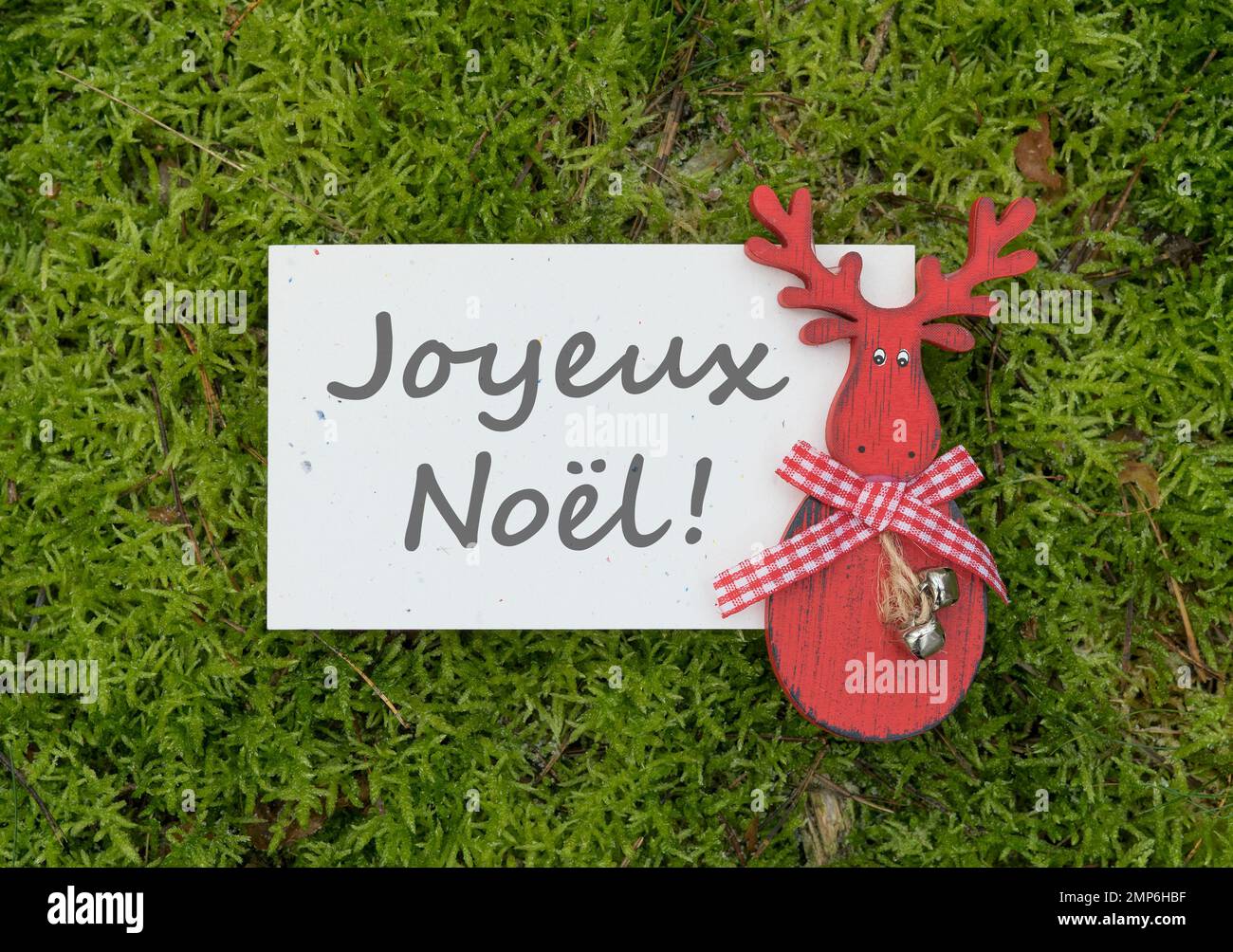 Weihnachtskarte mit rotem Rentier und französischem Text: Merry Christmas and a Happy New Year Stockfoto