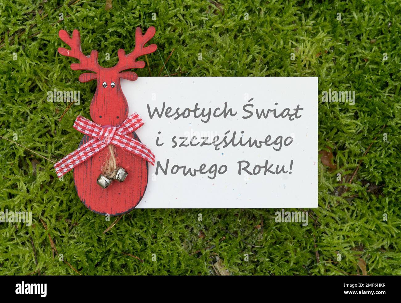 Weihnachtskarte mit rotem Rentier und polnischem Text: Merry Christmas and a Happy New Year Stockfoto