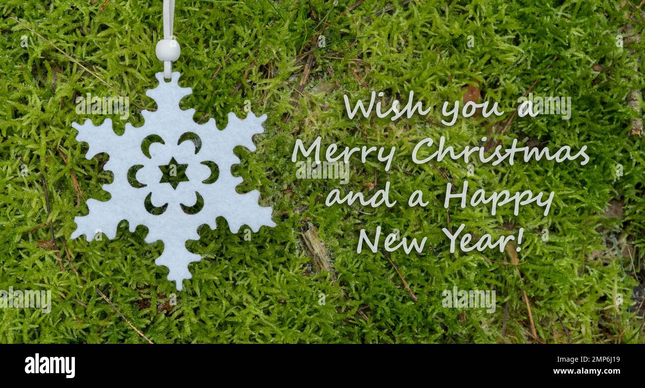 Weihnachtskarte mit goldenem Stern und englischem Text: I wish you a Merry Christmas and a Happy New Year. (Ich wünsche dir frohe Weihnachten und ein glückliches neues Jahr Stockfoto