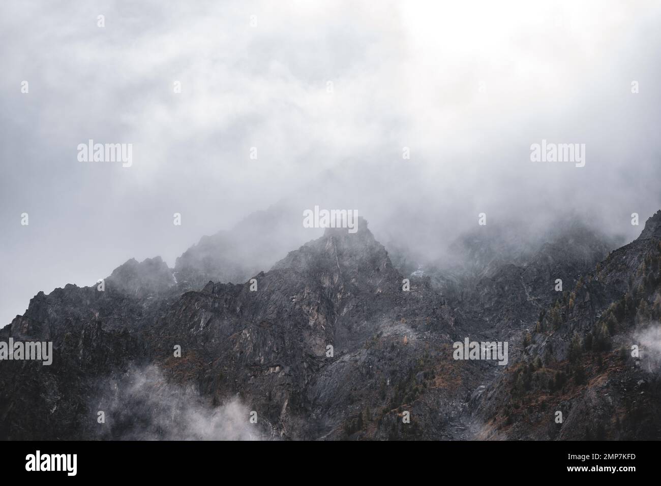 Nebel mit Schnee und Wolken zieht sich zu den steinernen Bergen mit Fichten und Wald auf steilen Felsen nach Regen am Morgen in Altai. Stockfoto