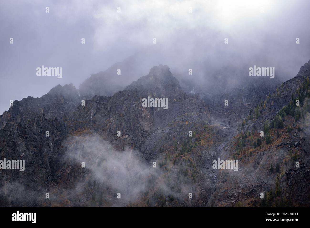 Nebel mit Schnee und Wolken zieht sich zu den steinernen Bergen mit Fichten und Wald auf steilen Klippen nach Regen während des Tages in Altai. Stockfoto