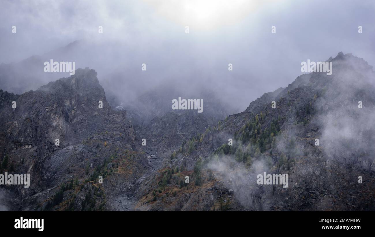 Nebel mit Schnee und Wolken zieht sich zu Steinbergen mit Fichten und Wald auf steilen Felsen nach Regen in Altai im Sommer. Stockfoto