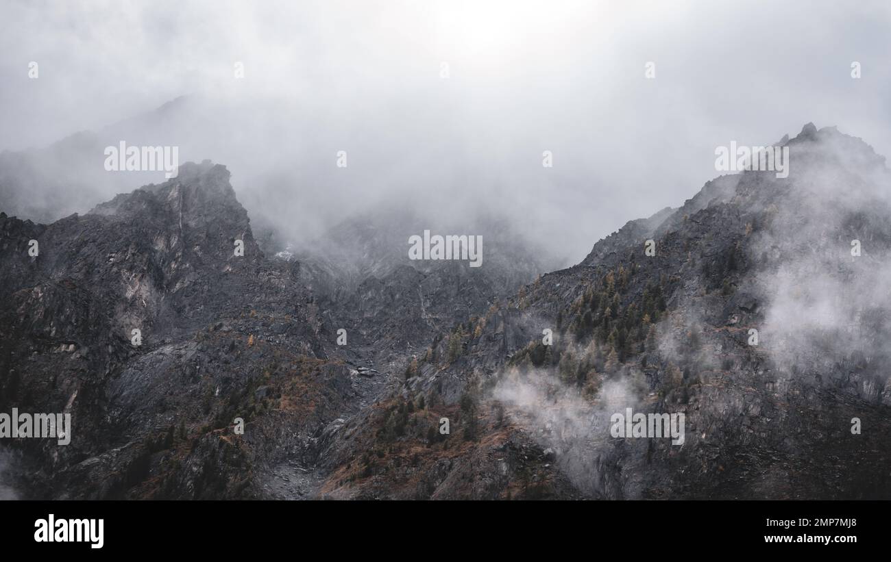 Nebel mit Schnee und Wolken zieht sich in die steinernen Berge mit Fichten und Wald auf steilen Felsen nach Regen am Morgen in Altai im Sommer. Stockfoto