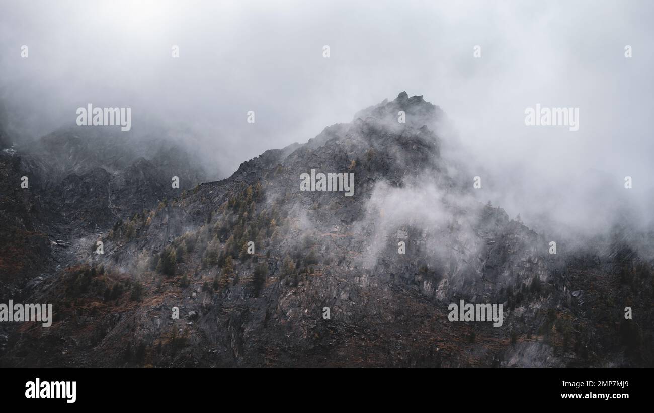 Nebel mit Schnee und Wolken zieht sich im Sommer auf steinernen Bergen mit Fichten und Wäldern auf steilen Felsen in Altai. Stockfoto