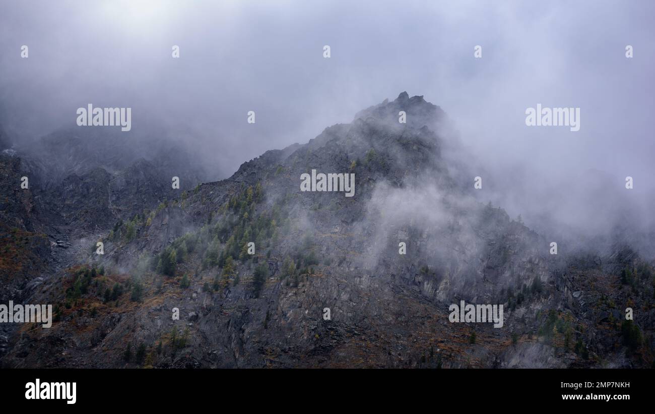Nebel mit Schnee und Wolken zieht sich in die steinernen Berge mit Fichten und Wald auf steilen Klippen in Altai. Stockfoto