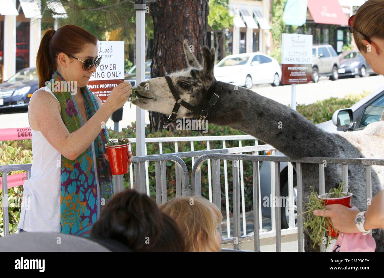 Die Schauspielerin Alyson Hannigan und ihre Familie verbringen den Tag gemeinsam im Brentwood Country Mart. Alyson fütterte ein Lama und spazierte später mit ihrem Mann Alexis Denisof, der die neue Tochter Keeva Jane Denisof in einem Kinderwagen schubste, und Tochter Satyana Marie Denisof, die sehr verspielt durch das Gras zu laufen schien. Los Angeles, Kalifornien. 15. Juli 2012 Stockfoto