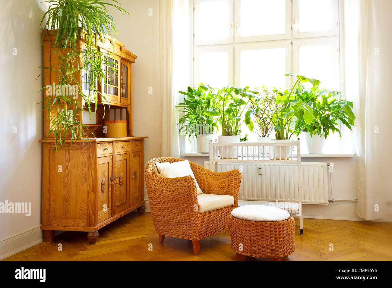 Sonniges Wohnzimmer in warmen Farben mit gemütlichem Korbsessel und Ottomane, altem Schrank, vielen Pflanzen und großen Fenstern. Stockfoto
