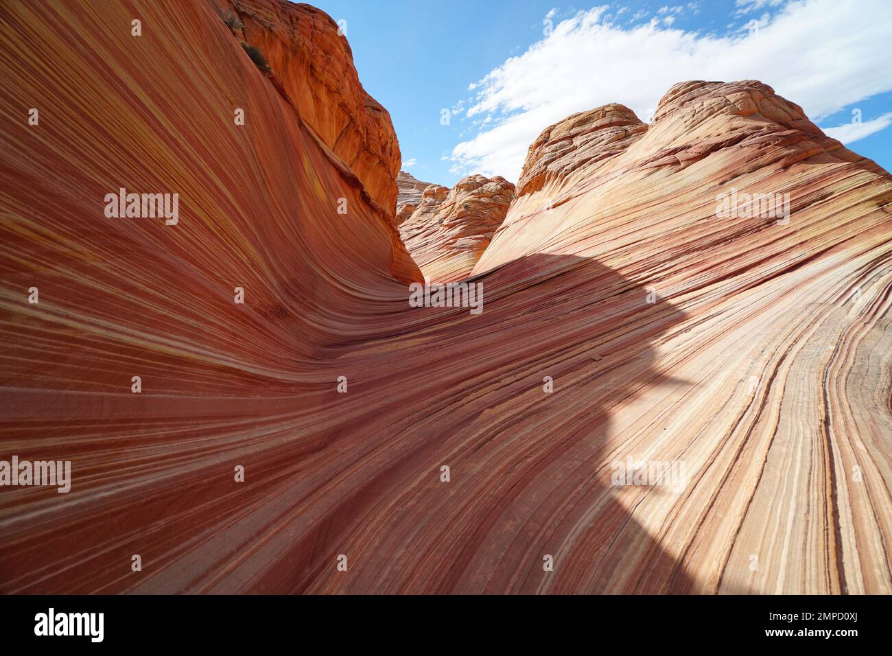 Die Welle in der Wüste Stockfoto