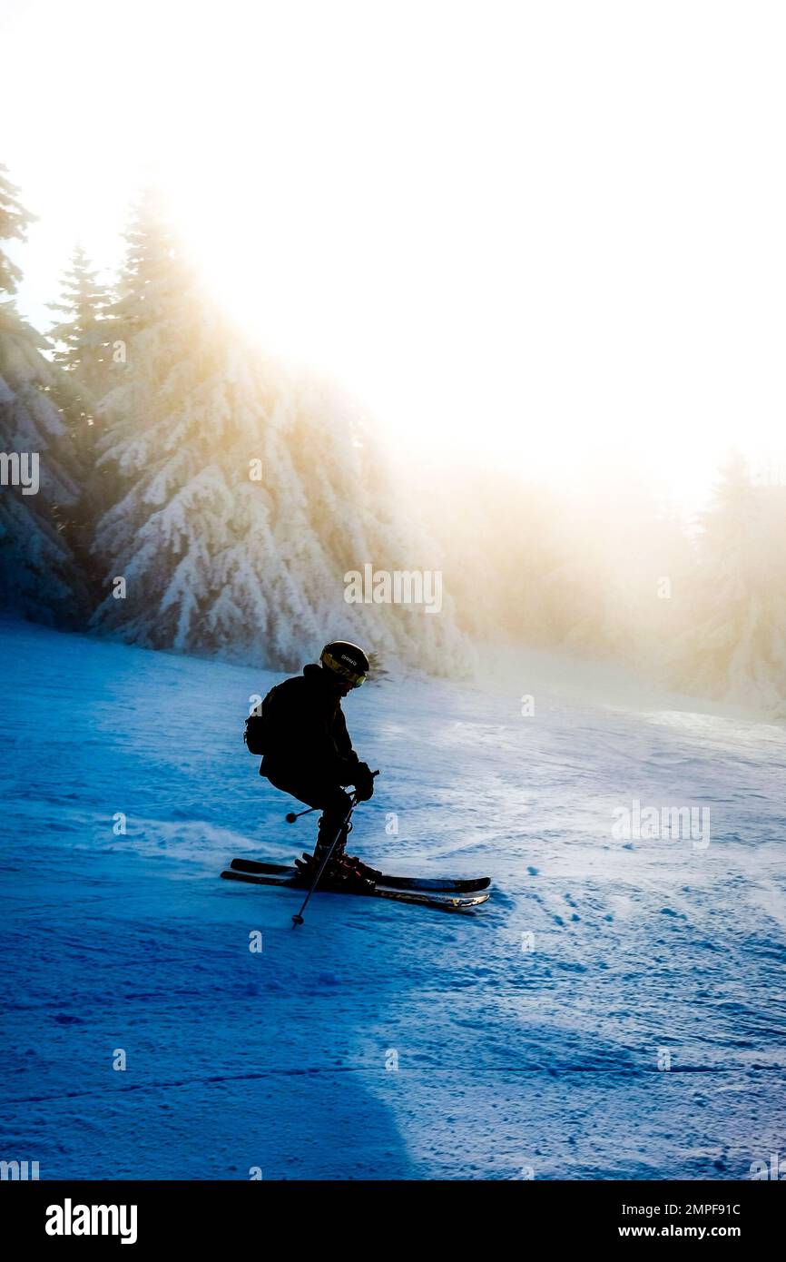 Michael Bunel / Le Pictorium - Skifahren in den Alpen - 8/1/2016 - Savoie / Frankreich / La plagne - ein Skifahrer verlässt die Piste. 29. Januar 2023 La pla Stockfoto