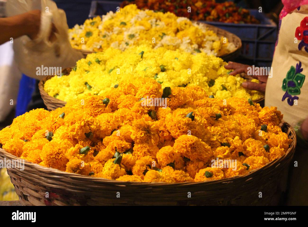 Körbe voller indischer Marigold-Blumen Stockfoto