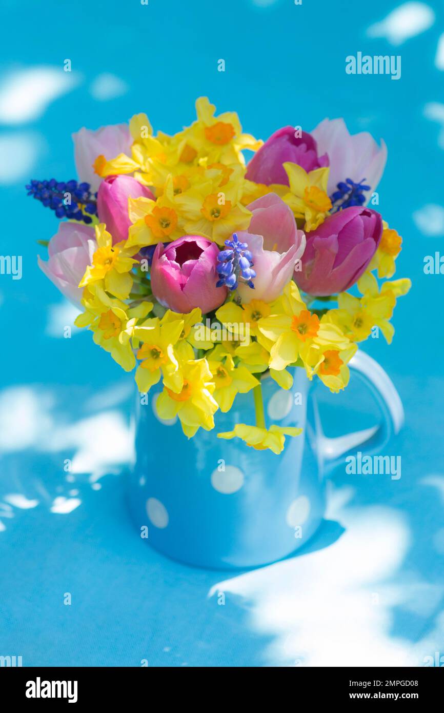 Frühlingsblumen im porzellanbecher Stockfoto