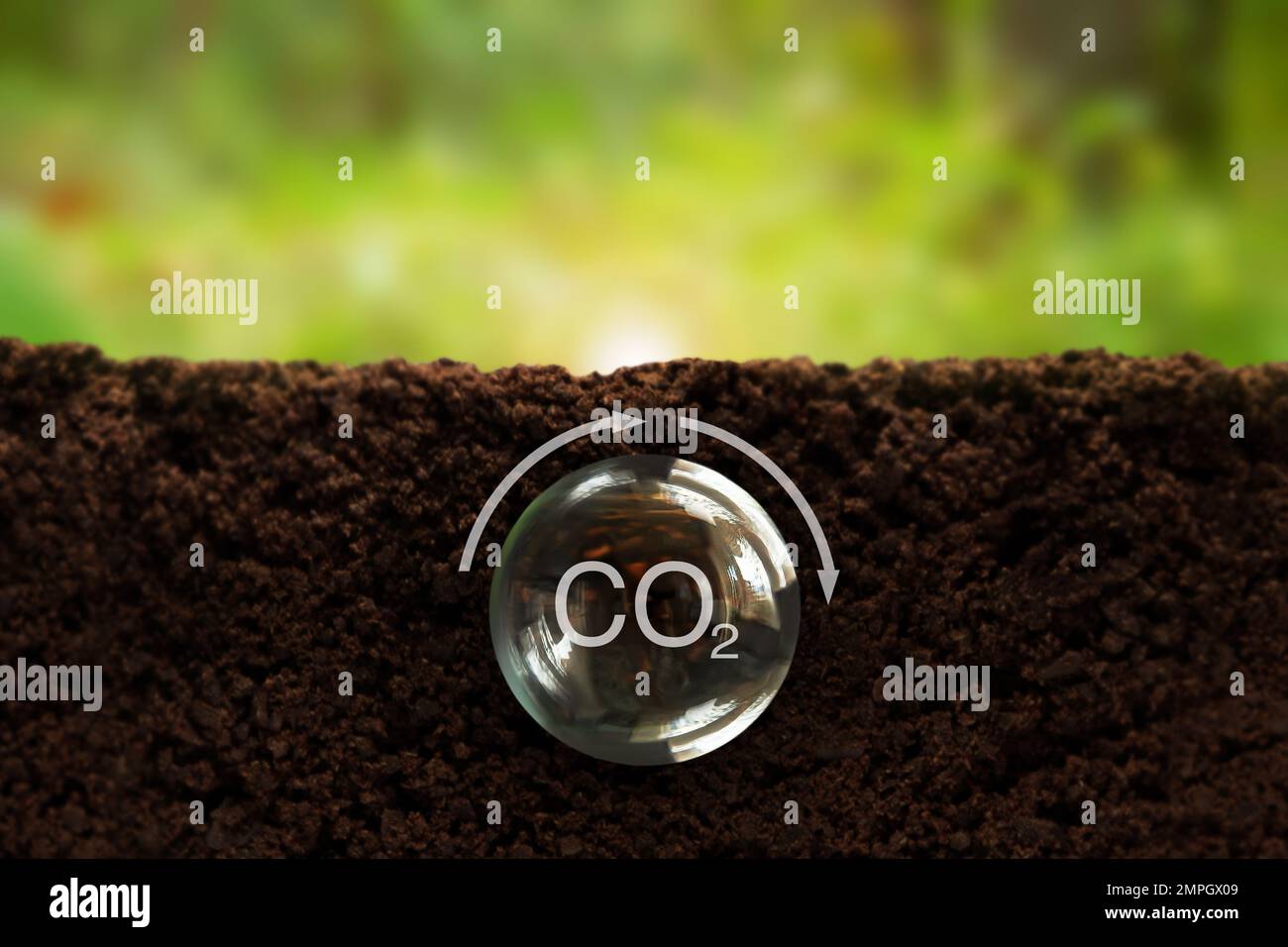 Kohlenstoffformel in einer transparenten Kugel unter der Erde auf grünem Hintergrund. Reduzierung der CO2-Emissionen, kohlenstoffneutrales Konzept. Ohne Treibhausgas Stockfoto