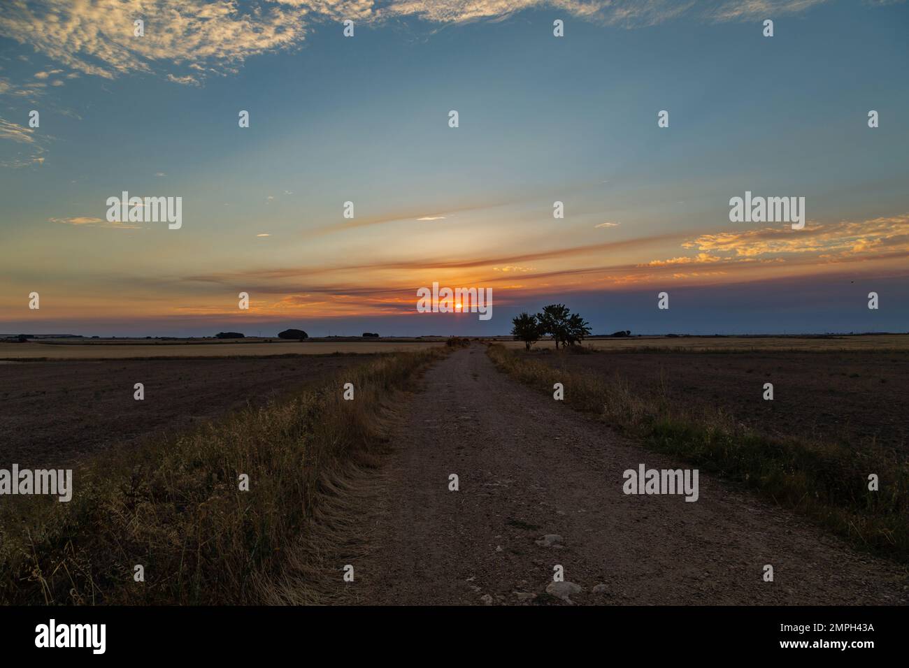 Sonnenuntergang und Müsli Ackerland. Tierra Estella. Navarra, Spanien, Europa. Stockfoto