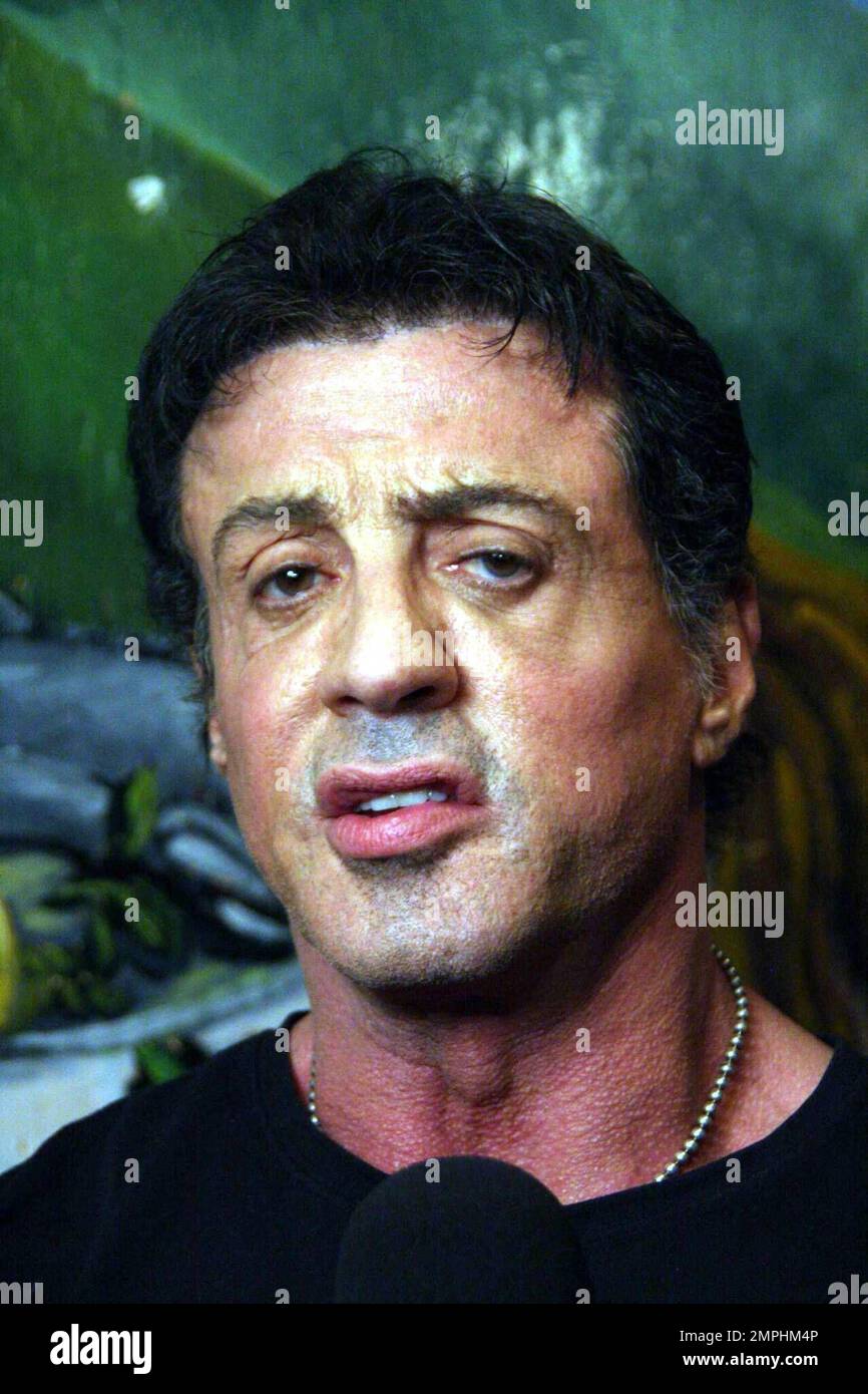 HollywoodAktionär Sylvester Stallone nimmt an einer Veranstaltung Teil, bei der