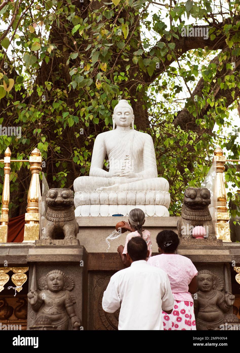 Sri-lankische Buddhisten machen eine Opfergabe im Kelaniya-Tempel in Kelaniya, Sri Lanka. Stockfoto