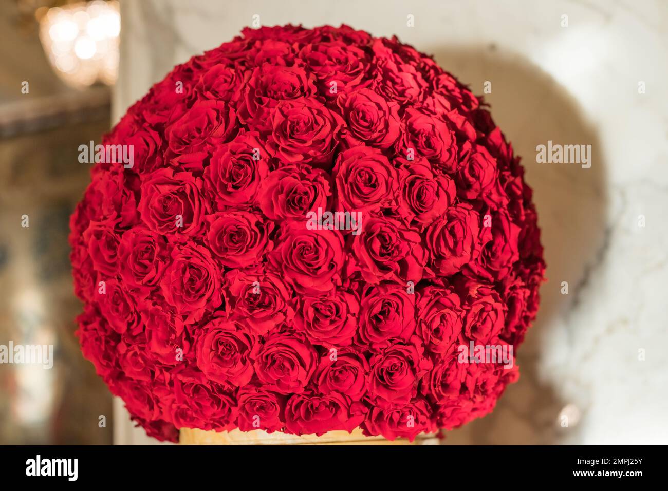 Eine dekorative Kugel aus roten Rosensepalen steht auf einer weißen Oberfläche im Inneren. Weicher Fokus. Romantischer Hintergrund am Valentinstag mit wunderschönem Bouquet Stockfoto