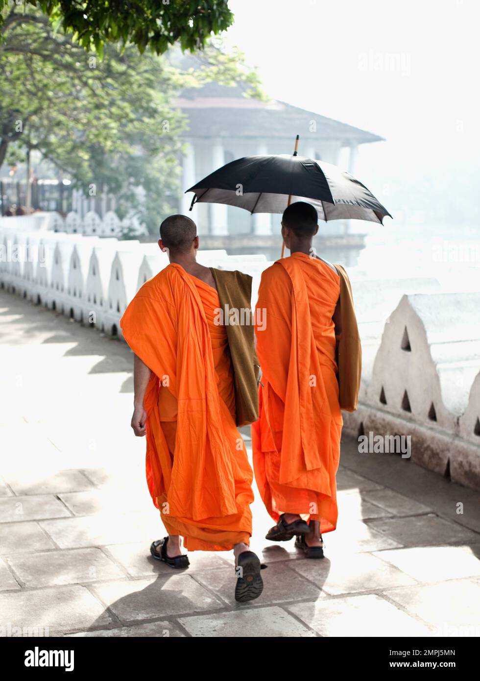Buddhistische Mönche gehen auf dem Weg zum Tempel am Kandy Lake vorbei. Kandy, Sri Lanka, Asien Stockfoto