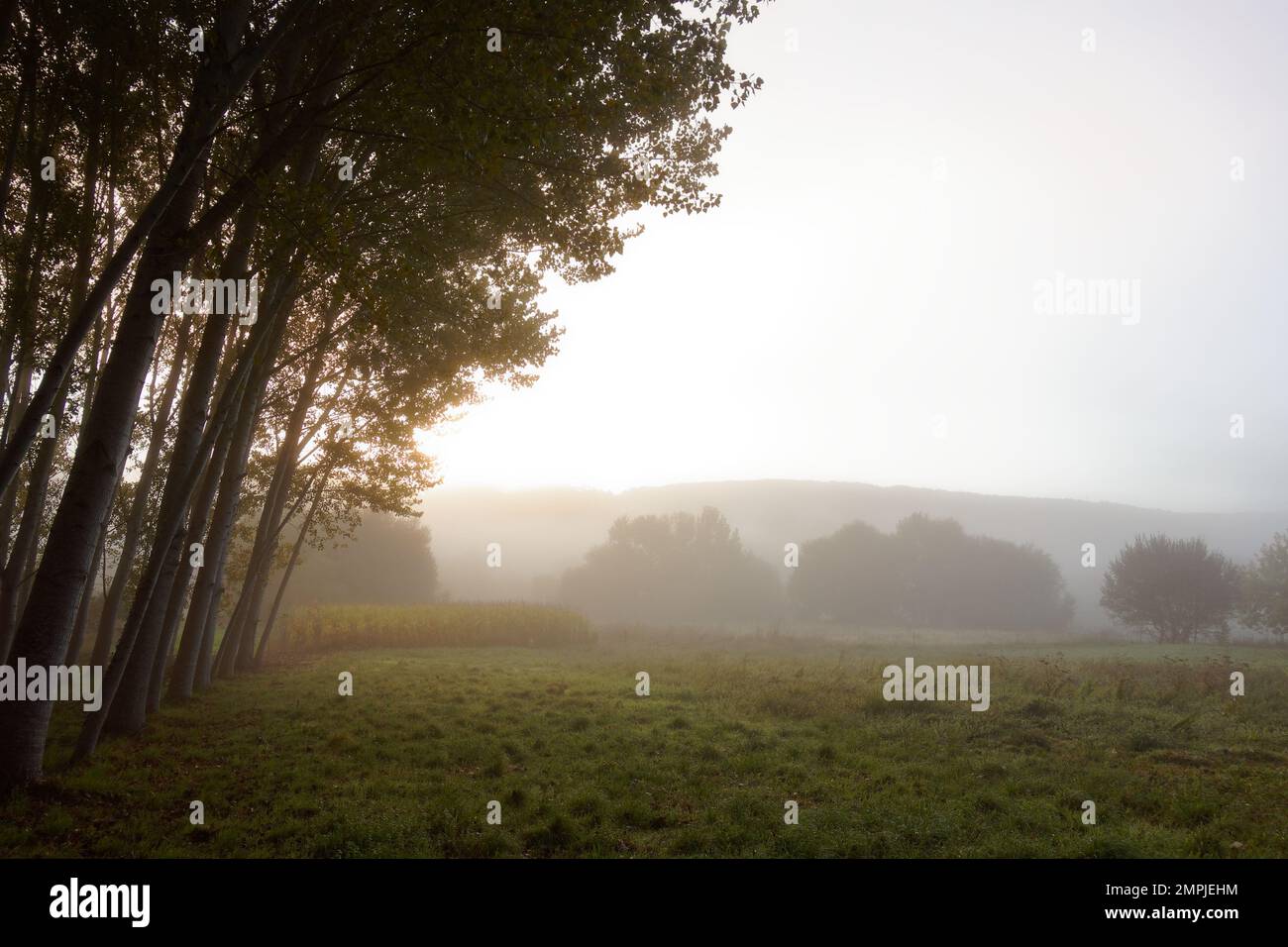 Die magische Natur Spaniens entlang des Camino de Santiago Stockfoto