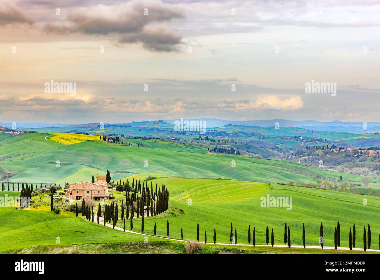 Typische Landschaft, Haus auf einem Hügel mit Zypressenallee im Frühling im Val d' Orcia in der Toskana, Italien. Stockfoto