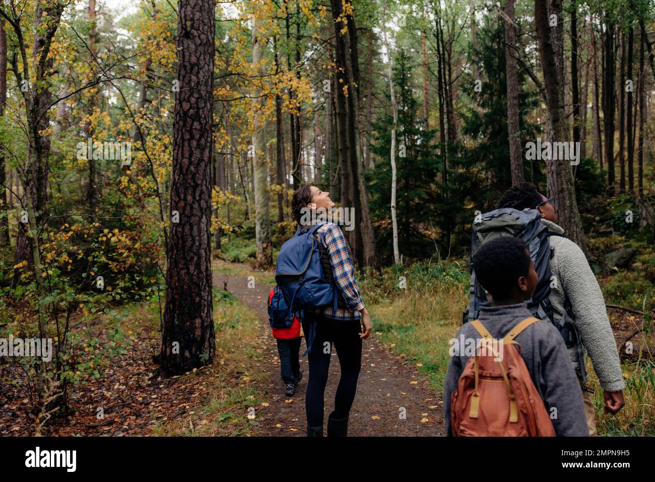 Eltern erkunden den Wald mit Kindern, während sie während des Urlaubs auf dem Pfad spazieren gehen Stockfoto