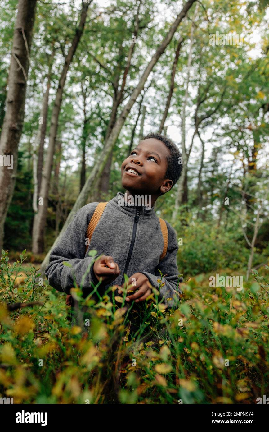 Ein lächelnder Junge träumte, während er im Urlaub neben Pflanzen im Wald stand Stockfoto