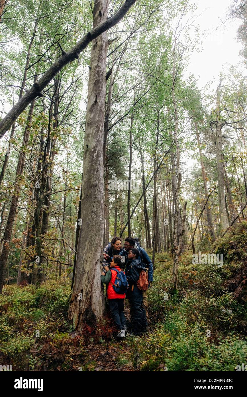 Familienuntersuchung im Wald während des Urlaubs Stockfoto