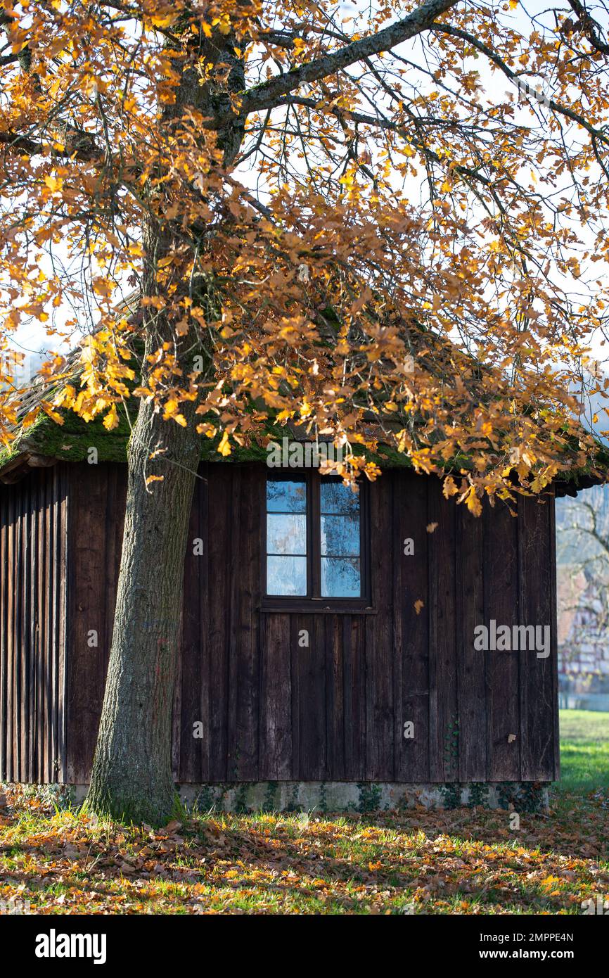 Alte lange Holzhütte am Rande eines Waldes im Herbst Stockfoto