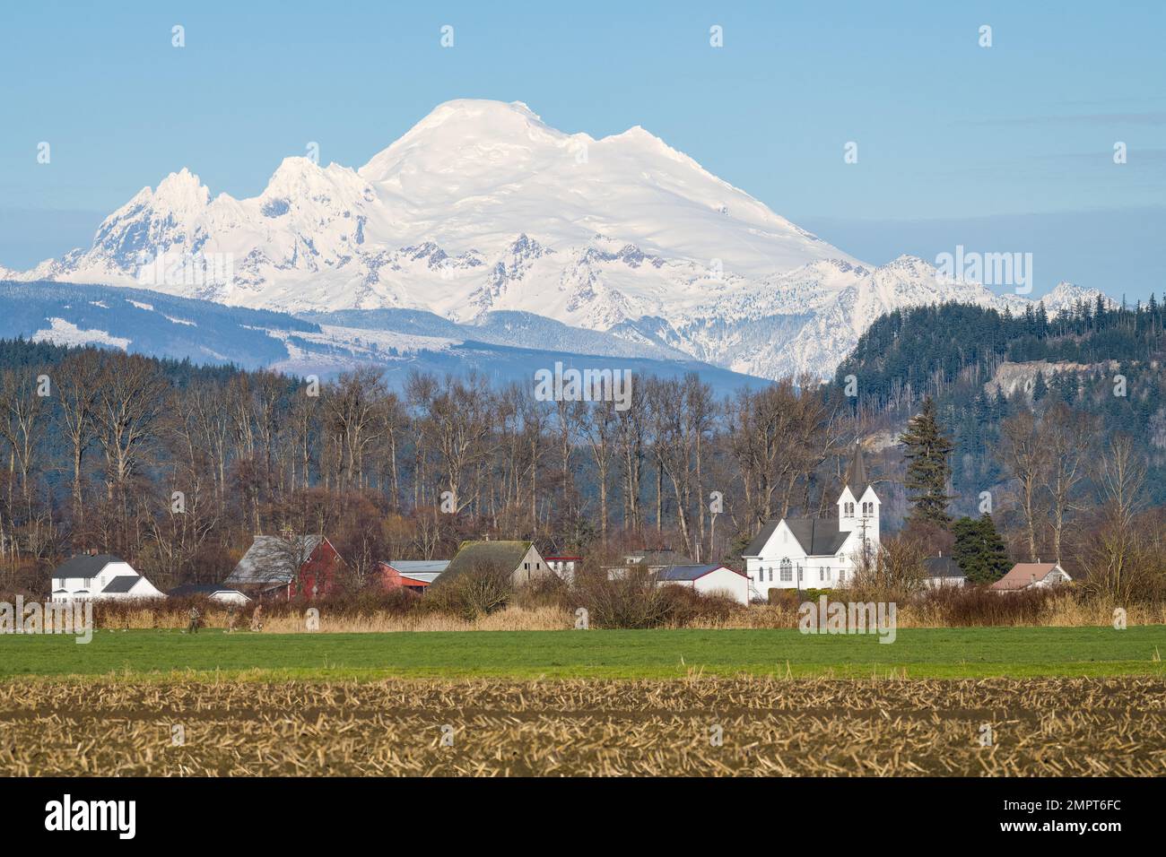 Schneebedeckter Vulkan Mount Baker über dem Ackerland des Skagit Valley im Winter Stockfoto
