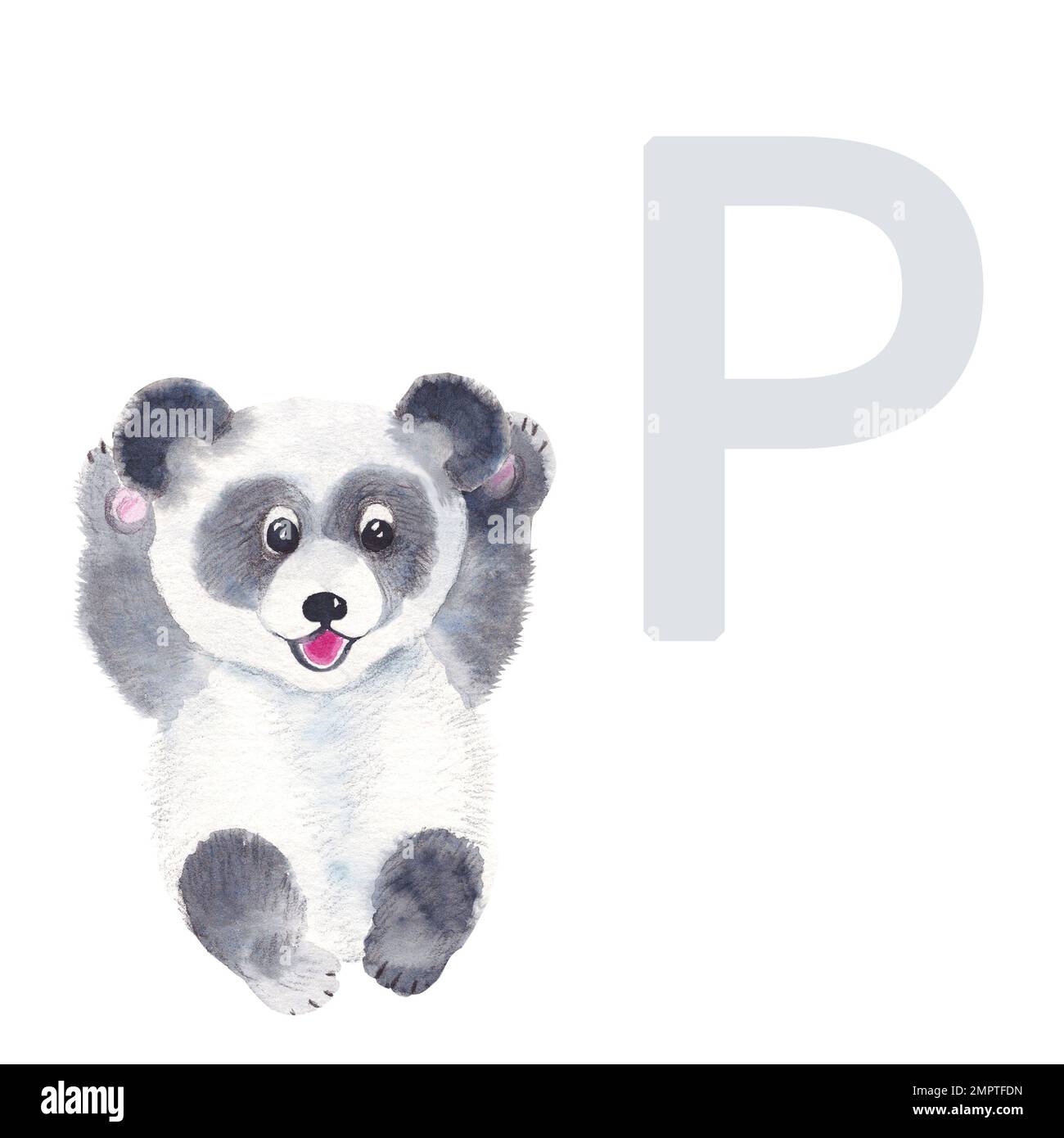 Buchstabe P, Panda, niedliches Kinder-ABC-Alphabet. Aquarelldarstellung isoliert auf weißem Hintergrund. Kann für Alphabet oder Karten für Kinder verwendet werden Stockfoto