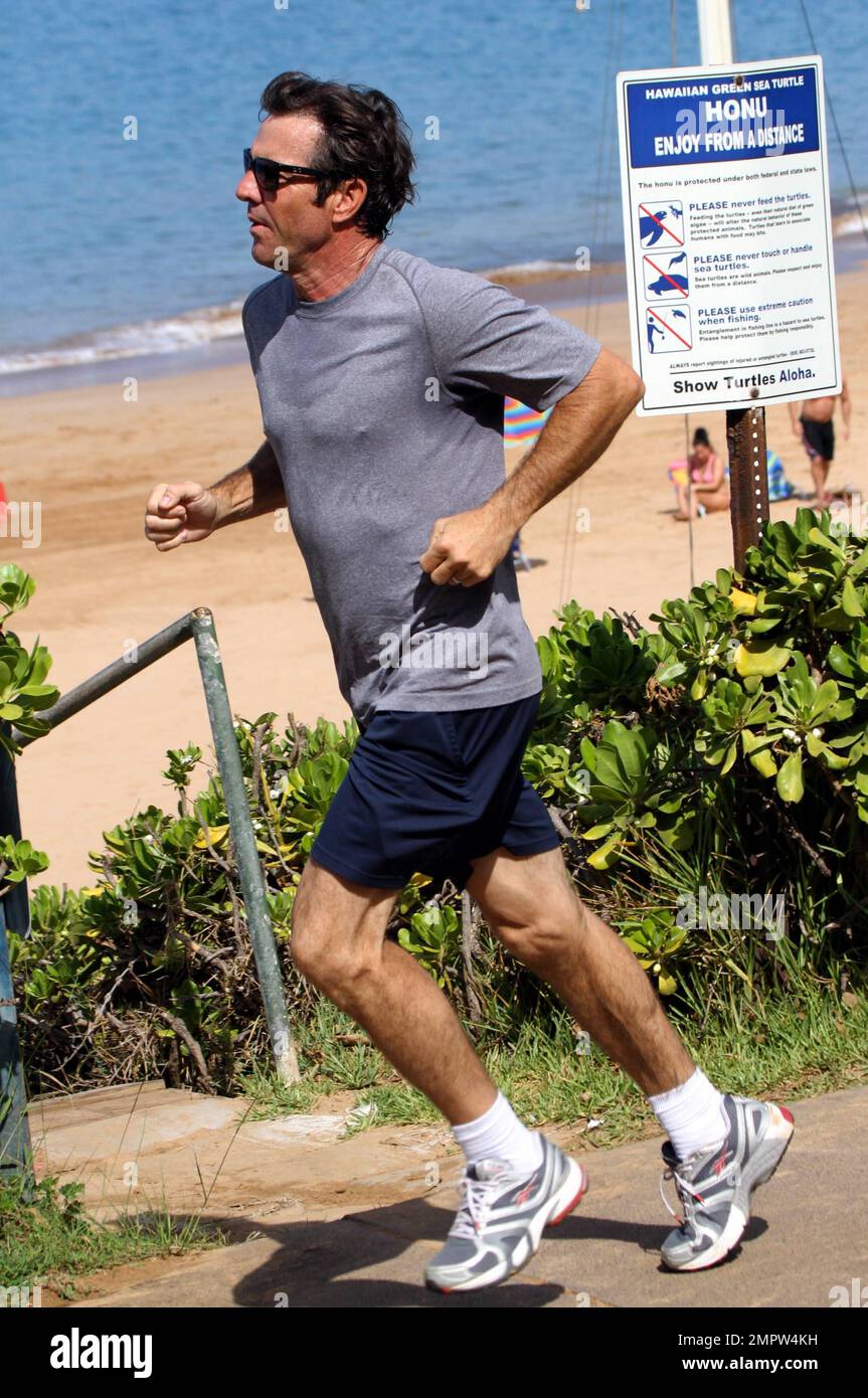 Der gute Schauspieler Dennis Quaid und seine Frau Kimberly Buffington halten während eines hawaiianischen Urlaubs ihre Fitness mit einem Jogging aufrecht. Quaid, der Berichten zufolge seine Montana Ranch Anfang dieser Woche zum Verkauf angeboten hat, sagte kürzlich, er träumt davon, nach Hawaii zu ziehen, um mehr Zeit mit Surfen zu verbringen. Der 57-jährige Star „Footloose“ liebte erstmals das Surfen, als er den Film „Soul Surfer“ drehte, der die Geschichte des Haiangriffsopfers Bethany Hamilton erzählt. Maui, Hi. 26. Oktober 2011. Tel.: +1 305 542 9275 Stockfoto