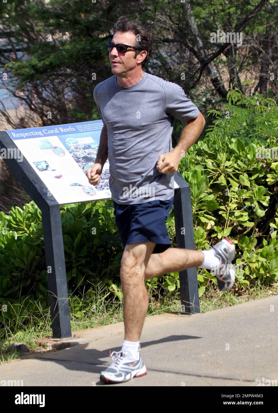 Der gute Schauspieler Dennis Quaid und seine Frau Kimberly Buffington halten während eines hawaiianischen Urlaubs ihre Fitness mit einem Jogging aufrecht. Quaid, der Berichten zufolge seine Montana Ranch Anfang dieser Woche zum Verkauf angeboten hat, sagte kürzlich, er träumt davon, nach Hawaii zu ziehen, um mehr Zeit mit Surfen zu verbringen. Der 57-jährige Star „Footloose“ liebte erstmals das Surfen, als er den Film „Soul Surfer“ drehte, der die Geschichte des Haiangriffsopfers Bethany Hamilton erzählt. Maui, Hi. 26. Oktober 2011. Tel.: +1 305 542 9275 Stockfoto