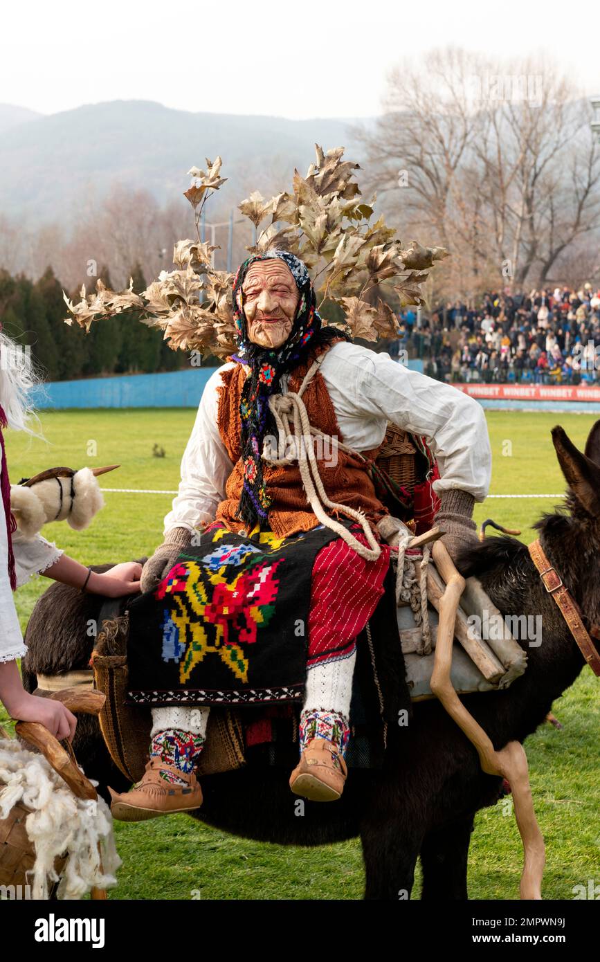 Lustige Figur, die eine alte Frau auf einem Esel beim jährlichen Simitlia Winter Festival in Simitli, Blagoevgrad County, Bulgarien, Osteuropa, EU darstellt Stockfoto