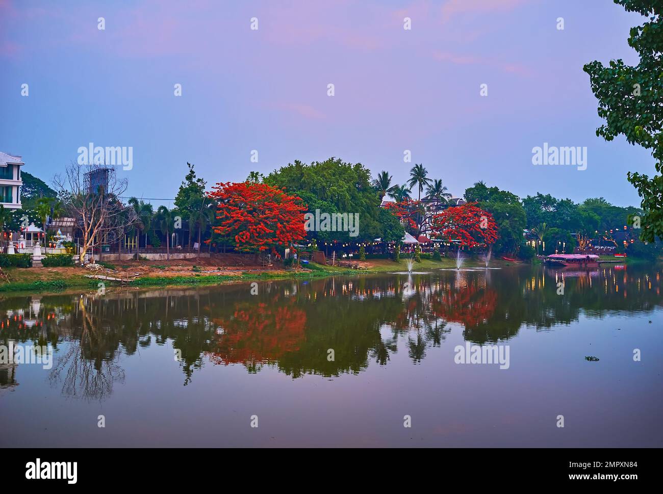 Die Spiegeloberfläche des Flusses Ping spiegelt den Himmel in der Dämmerung, grüne Ufer und blühende Flammen wider, Chiang Mai, Thailand Stockfoto